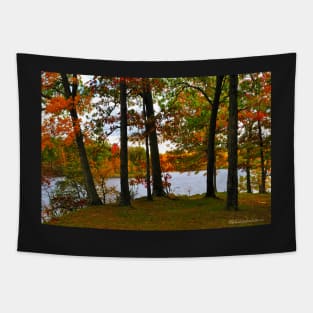 Murphysboro Lake (2) Tapestry