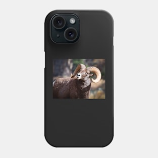 Bighorn Sheep Phone Case