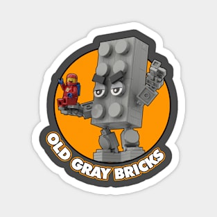 Old Gray Bricks Magnet