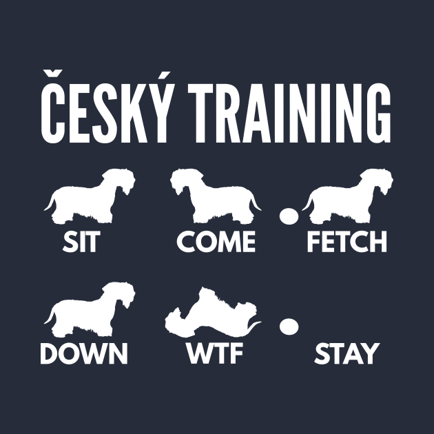 Cesky Terrier Dog Training Cesky Dog Tricks by DoggyStyles