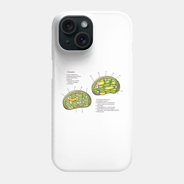 Chloroplast Structure Diagram Phone Case by taylorcustom