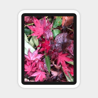 The Forest Floor of Red and Green Holiday Leaves Magnet