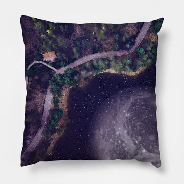 Top of The World Pillow by RiddhiShah