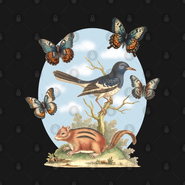 Squirrel, Magpie Bird, and Butterflies - Nature illustration by Biophilia