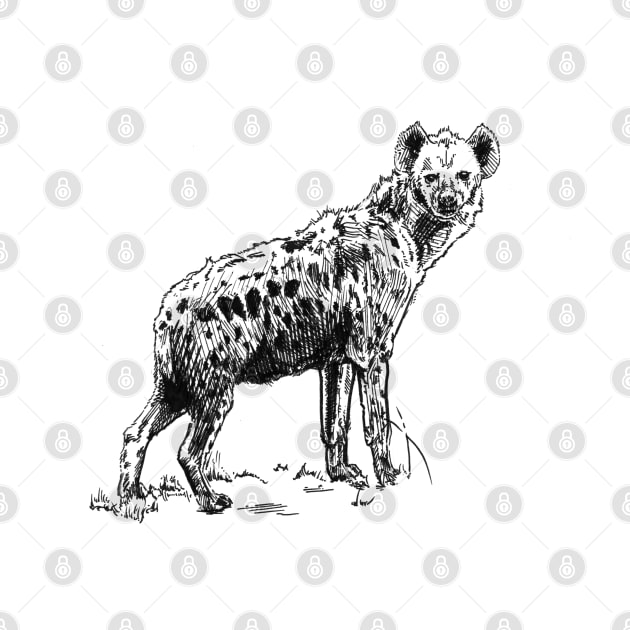 Hyena Ink Drawing by Fireside Press