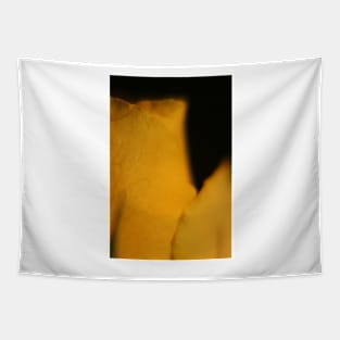 Yellow Rose Macro Tapestry