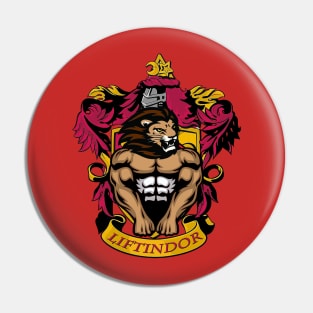 Liftindor Pin