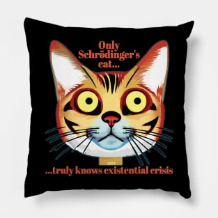 Schrodinger's cat existential crisis Pillow