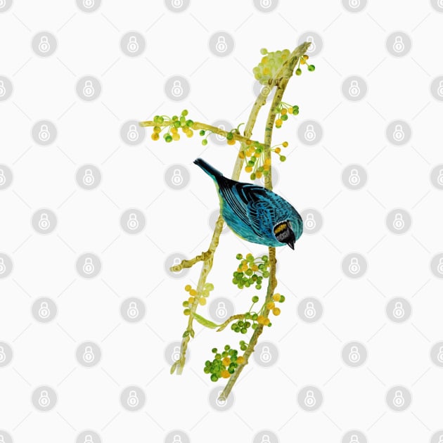 Watercolor blue Tanager bird by Artbyruthandco