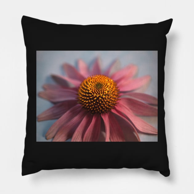 Purple Coneflower Pillow by dawn2dawn