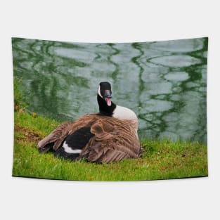 An Angry Female Canada Goose On Her Nest Tapestry