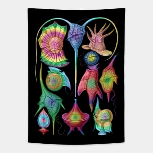 Ernst Haeckel  Rainbow  Peridinea Algae Tapestry