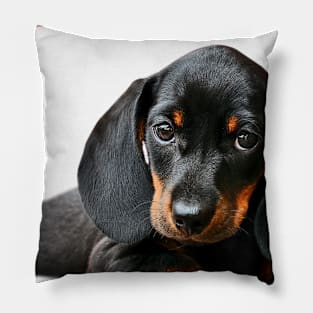 Love Is Dachshund Dog Pillow