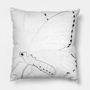 Line Drawing : Butterfly Portrait Pillow