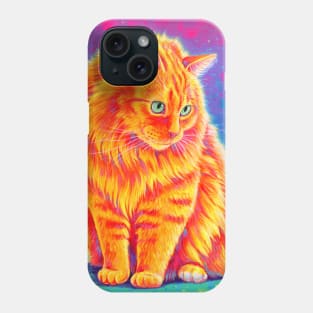 Rainbow Orange Longhaired Tabby Cat Phone Case