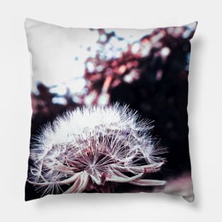 Dandelion flower photos Pillow