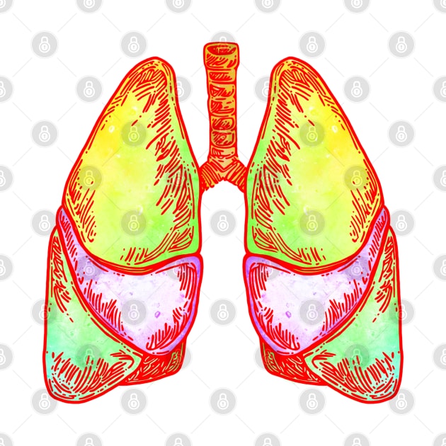 Lungs by Pau1216p