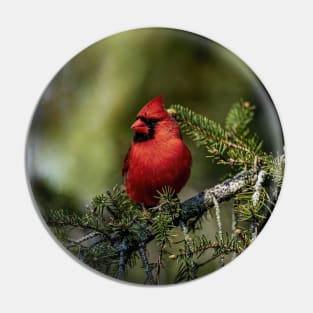 Northern Cardinal Pin