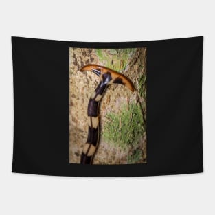 Unique and organic photo of a hammerhead flatworm Tapestry