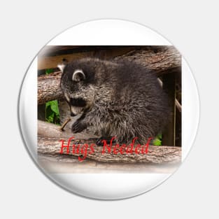 Raccoon Hugs Pin