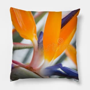 BIRD FLOWER Pillow