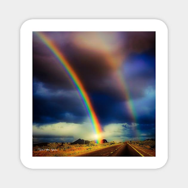 Blinded By Rainbows Magnet by davidbstudios