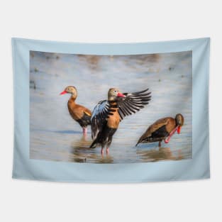 Black-bellied Whistling-Duck Trio Tapestry