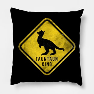 Science Fiction Crossing Pillow