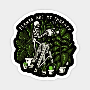 Skeleton Plants Are My Therapy Magnet