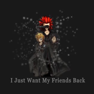 Kingdom Hearts: Axel's Memories. T-Shirt