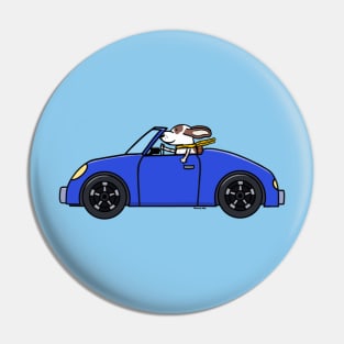 Doggie in roadster Pin