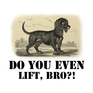 Do you even lift, bro? T-Shirt