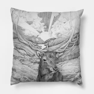 Rise with the Sun Pillow