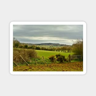 Lush Somerset Magnet