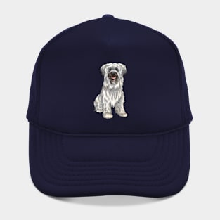 Cute Pyrenean Shepherd Dog | Sheepdog Hat
