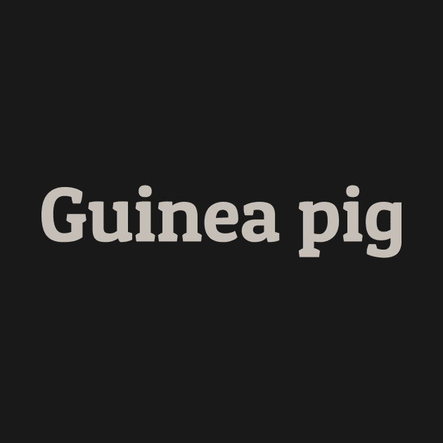 Guinea Pig by calebfaires