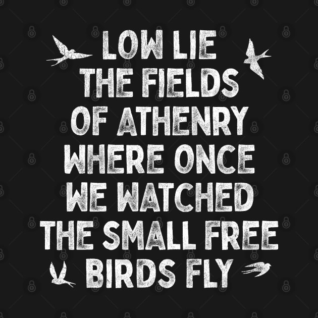 Low Lies The Fields Of Athenry by feck!