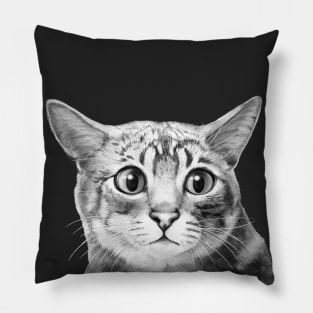 Wide Eye Cat Pillow