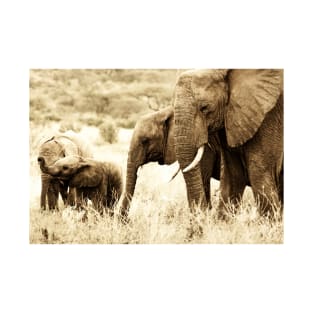 Elephant Family T-Shirt