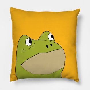 Frog AzaZaz Pillow