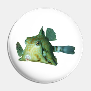 Boxfish | Cute fish to smooch | Pin