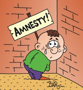 amnesty Magnet