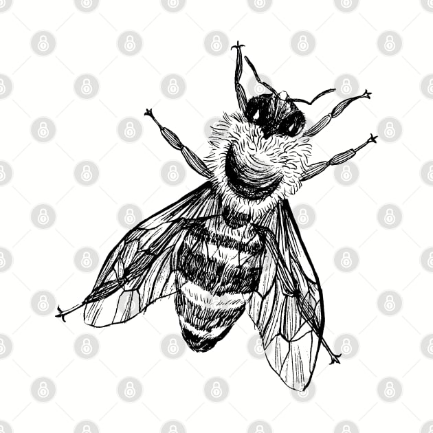 Vintage Honey Bee Drawing for World Bee Day by drumweaver