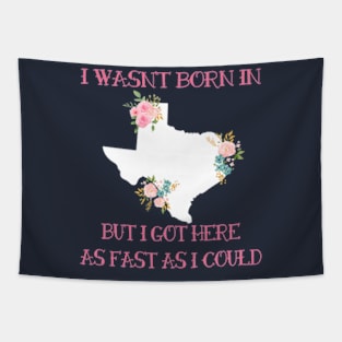 I Wasnt born in Texas Tapestry