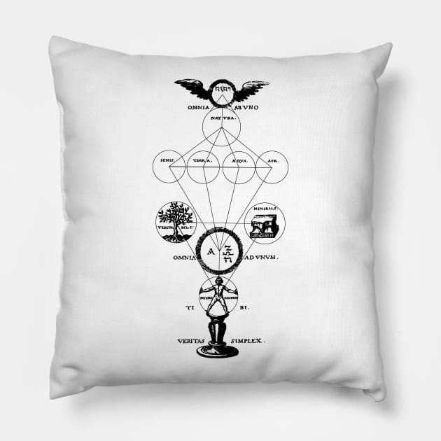 The Origins of Alchemy Pillow by Anthraey