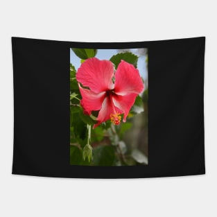 Red Hibiscus Tapestry