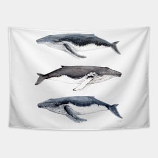 Humpback whales Tapestry