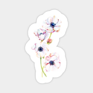 Asymmetrical Anemones Magnet