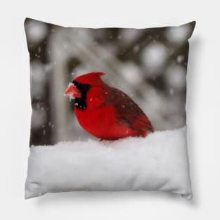 Male Northern Cardinal In The Snow On A Bird Feeder Pillow