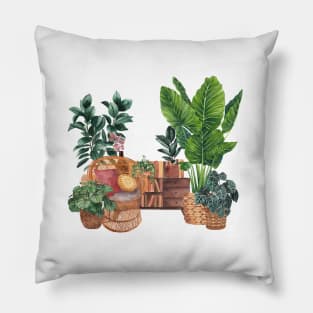 Plant Interior illustration 2 Pillow